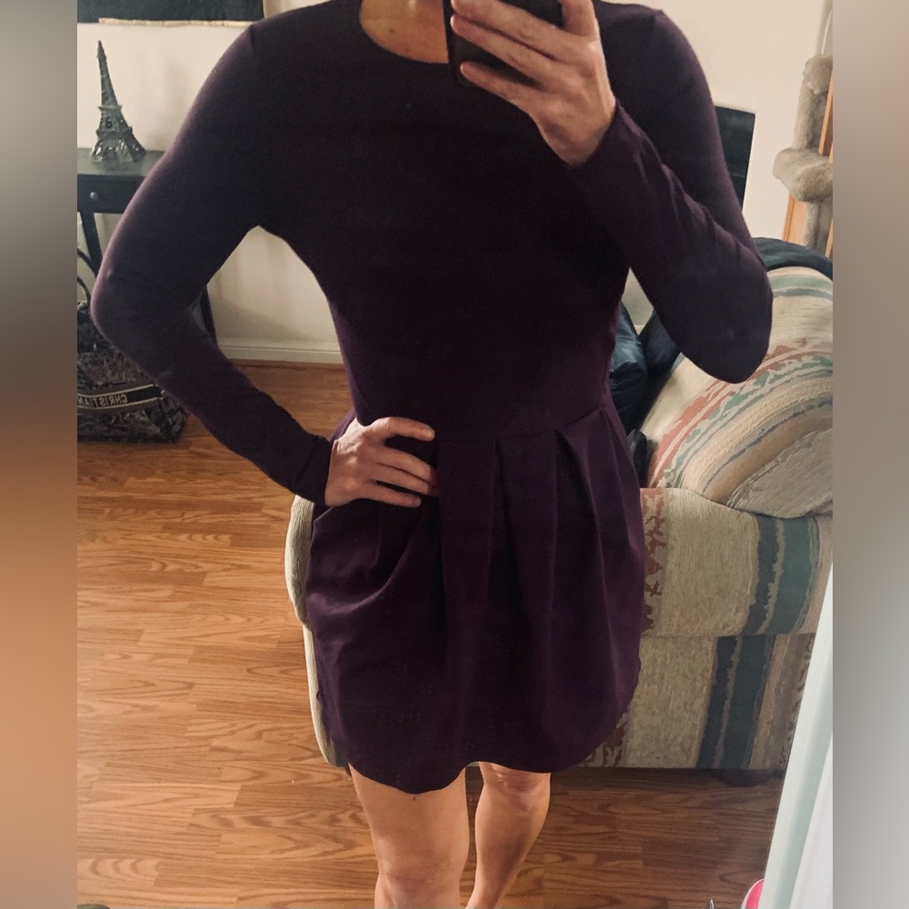 Aritzia TALULAH Purple Fit and Flare Mini
